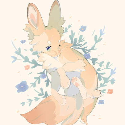 Fennec Fox Fennec Fox